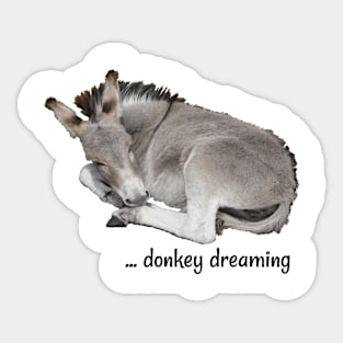 Grey Donkey Dreaming Sticker